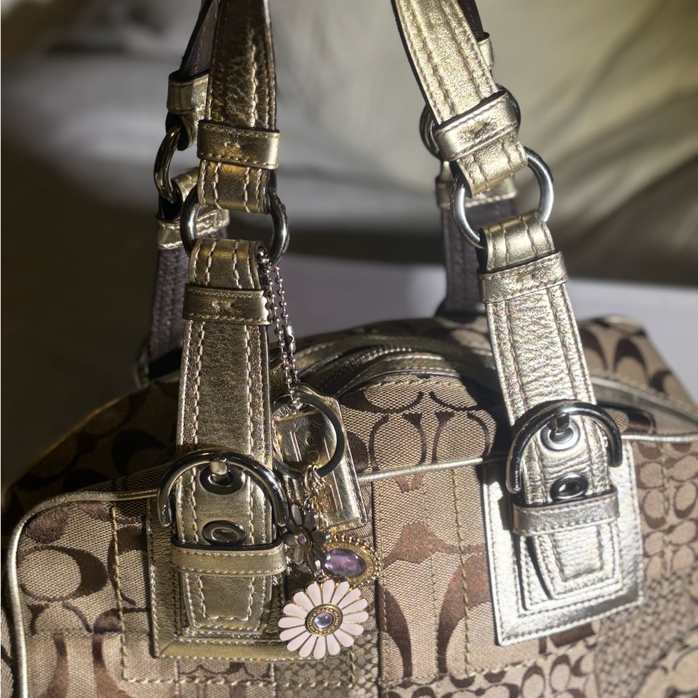 Patchwork Brown and Silver Women's Bag